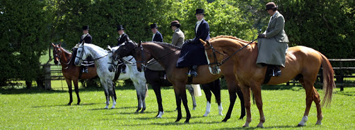 Side Saddle